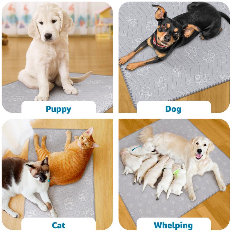 Dog Pad